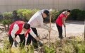 “井”上添画　崆峒社区“劳动图鉴”每页都超暖