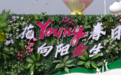 江苏如东：小洋口旅游度假区人气爆棚，立体玩法解锁文旅新体验