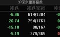 A股指数集体低开：沪指跌0.21%，跨境支付、离境退税等板块跌幅居前
