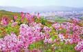 清风徐来花正艳　水碧山青展新姿