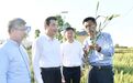 淮安市委书记史志军：抓细抓实各项抗旱举措 奋力夺取夏粮丰收
