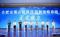 “智汇蜀山·共创未来”合肥市蜀山区科技创新战略联盟成立大会暨科技创新生态构建研讨会召开