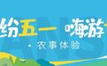五一“趣”甘肃“村”游　沉浸式种菜采茶体验感拉满