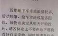 长春一小区投药应对流浪猫？律师：此举欠妥