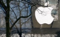 美法官判苹果违反法院命令，App Store禁收外部抽成须整改