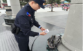 “五一”守护不打烊 暖心警事频上演