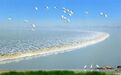 浙江宣传：浙商的韧性