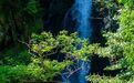 被“硬控”了！海曙这家咖啡，有瀑布！