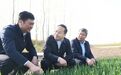 淮安市长顾坤调研推进生态农业发展和城乡公共空间治理工作