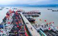 5月8日—8月5日，这几类海鲜禁售！