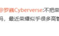 不带起飞不离职：荣耀首席影像工程师罗巍入职一周年