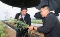 无锡市长赵建军：奋力夺取夏粮丰产丰收