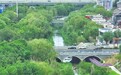 绿柳如烟、满目青翠！绿色打底绘就泉城的初夏