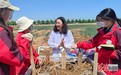 中国农业大学曲周科技小院团队荣获中国青年五四奖章