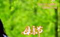 “你好，运河”（11）：你在，则心安