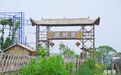 青年入乡，点亮乡村未来