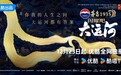 六大卫视联播《闪耀吧！大运河》，台网联动共赏运河文化