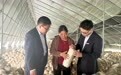 中国银行河北省分行：田间地头的金融动能