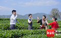 厚植金融为民情怀 做百姓身边有温度的“贴心银行” ——海南农商行挂牌一周年交出高质量发展答卷