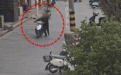 “重操旧业”？李某被马鞍山警方抓获！