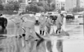 河北省迎来大范围降雨天气 222个站点达暴雨级别