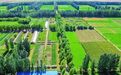 阿克塞构建“党建+林草”融合模式　书写绿色发展答卷
