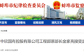 蚌埠、宿州反腐：一国企干部被查，一人被开除党籍