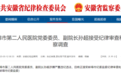 安徽省纪委监委通报：孙超、李磊、任群被查！
