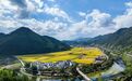 4大区块、9个核心村 桐庐这里又美又富