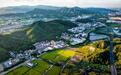破短板谋升级 中山更高质量推动“百千万工程”三年见效