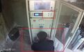 多人获刑、罚款180余万，安徽省生态环境厅公布典型案例