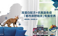 高端宠物食品品牌Blue Buffalo蓝挚三大产品系列，满足猫咪健康喂养全需求