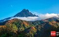 14亿元生态项目签约落地五指山