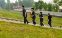 【法庭新“枫”景】大鲸港法庭：牛群误啃小麦引纠纷 法官就地调解化干戈