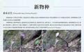 海南发现2个全球新物种