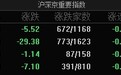A股指数集体低开：沪指跌0.16%，大金融、贵金属等板块跌幅居前