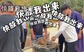 园方升级悬赏奖励！扬州“越狱”卡皮巴拉“豆包”仍在逃