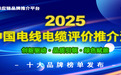 2025中国电线电缆十大品牌系列榜单重磅发布:以标杆力量驱动全产业链价值跃升