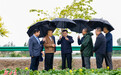 胡昌升调研张掖高台粤港澳菜篮子基地　圈产业致富重点