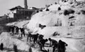 昔日荒山秃岭如今满目苍翠　镜观兰州南北两山70年巨变