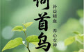 “AI”上中医药·每天认识一味中草药（6）｜何首乌