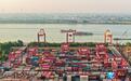 九江兴港集装箱码头作业区一派繁忙景象（图）