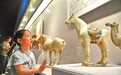 参观博物馆 感受历史文化魅力