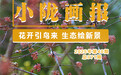 临夏永靖：花开引鸟来　生态绘新景