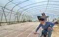金融活水润巴渝：中国人寿寿险公司创新服务助力乡村振兴纪实
