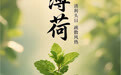 “AI”上中医药·每天认识一味中草药（3）｜薄荷