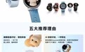 荣耀手表Fit部分规格公布：搭载DeepSeek语音对话、全方位健康监测