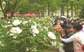 “牡丹华韵·盛世雅集”  长春市第八届牡丹文化节启幕