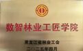 龙江森工集团：实施创新驱动 “数智林业”跑出加速度
