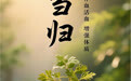 “AI”上中医药·每天认识一味中草药（2）｜当归